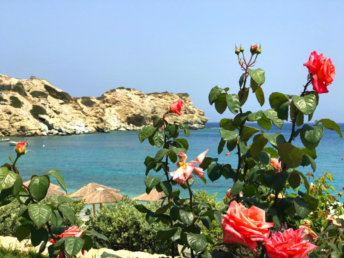 Dreamwave Residence - Unique Holidays By The Sea Ligaria  Esterno foto